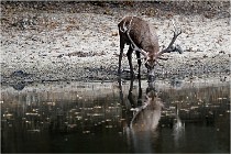 Boutissaint D5 17-10-09 0815   Photos ACG 2017