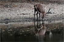 Boutissaint D5 17-10-09 0816   Photos ACG 2017