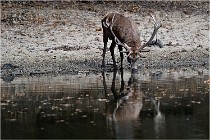 Boutissaint D5 17-10-09 0819   Photos ACG 2017