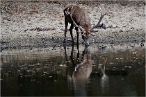 Boutissaint D5 17-10-09 0822   Photos ACG 2017