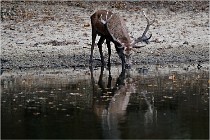 Boutissaint D5 17-10-09 0828   Photos ACG 2017