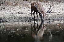 Boutissaint D5 17-10-09 0829   Photos ACG 2017