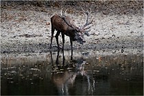 Boutissaint D5 17-10-09 0835   Photos ACG 2017