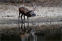 Boutissaint D5 17-10-09 0838   Photos ACG 2017