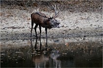 Boutissaint D5 17-10-09 0839   Photos ACG 2017