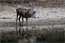 Boutissaint D5 17-10-09 0840   Photos ACG 2017