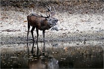 Boutissaint D5 17-10-09 0842   Photos ACG 2017