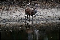 Boutissaint D5 17-10-09 0843   Photos ACG 2017