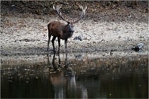 Boutissaint D5 17-10-09 0847   Photos ACG 2017