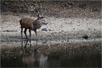 Boutissaint D5 17-10-09 0851   Photos ACG 2017