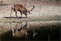 Boutissaint D5 17-10-09 0852   Photos ACG 2017