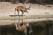 Boutissaint D5 17-10-09 0855   Photos ACG 2017