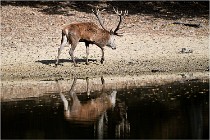 Boutissaint D5 17-10-09 0857   Photos ACG 2017