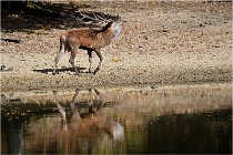 Boutissaint D5 17-10-09 0862   Photos ACG 2017