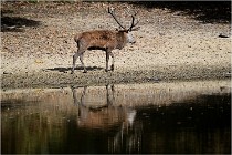 Boutissaint D5 17-10-09 0880   Photos ACG 2017