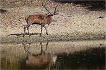 Boutissaint D5 17-10-09 0881   Photos ACG 2017