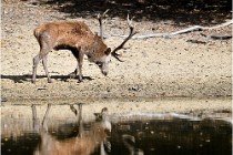 Boutissaint D5 17-10-09 0882   Photos ACG 2017