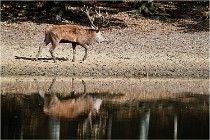 Boutissaint D5 17-10-09 0888   Photos ACG 2017