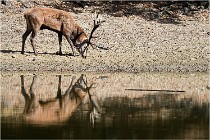 Boutissaint D5 17-10-09 0897   Photos ACG 2017