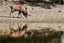 Boutissaint D5 17-10-09 0907   Photos ACG 2017