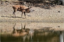 Boutissaint D5 17-10-09 0913   Photos ACG 2017