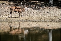 Boutissaint D5 17-10-09 0919   Photos ACG 2017