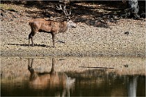 Boutissaint D5 17-10-09 0927   Photos ACG 2017