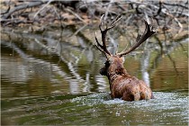 Boutissaint D5 17-10-09 0934   Photos ACG 2017