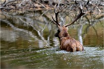 Boutissaint D5 17-10-09 0935   Photos ACG 2017