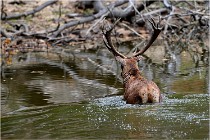 Boutissaint D5 17-10-09 0938   Photos ACG 2017