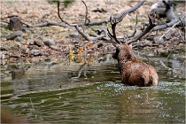 Boutissaint D5 17-10-09 0940   Photos ACG 2017