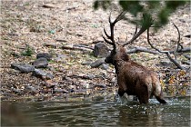 Boutissaint D5 17-10-09 0945   Photos ACG 2017