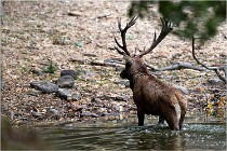 Boutissaint D5 17-10-09 0947   Photos ACG 2017