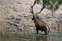 Boutissaint D5 17-10-09 0948   Photos ACG 2017