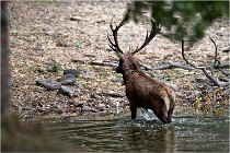 Boutissaint D5 17-10-09 0949   Photos ACG 2017