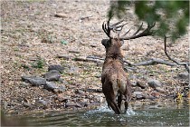 Boutissaint D5 17-10-09 0951   Photos ACG 2017