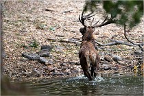 Boutissaint D5 17-10-09 0952   Photos ACG 2017