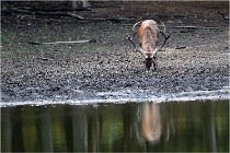 Boutissaint D5 17-10-10 0992   Photos ACG 2017