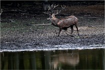 Boutissaint D5 17-10-10 0993   Photos ACG 2017