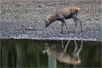 Boutissaint D5 17-10-10 1023   Photos ACG 2017