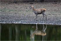 Boutissaint D5 17-10-10 1025   Photos ACG 2017