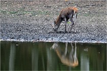 Boutissaint D5 17-10-10 1028   Photos ACG 2017