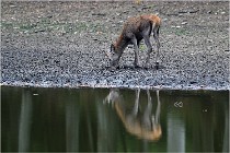 Boutissaint D5 17-10-10 1029   Photos ACG 2017