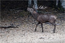 Boutissaint D5 17-10-10 1038   Photos ACG 2017