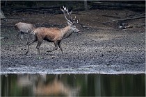 Boutissaint D5 17-10-10 1040   Photos ACG 2017