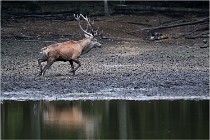 Boutissaint D5 17-10-10 1048   Photos ACG 2017