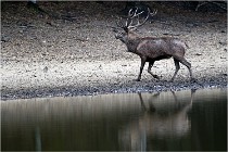 Boutissaint D5 17-10-10 1068   Photos ACG 2017