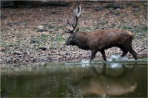 Boutissaint D5 17-10-10 1121   Photos ACG 2017