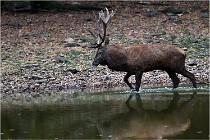 Boutissaint D5 17-10-10 1122   Photos ACG 2017