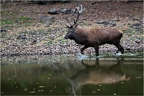 Boutissaint D5 17-10-10 1132   Photos ACG 2017